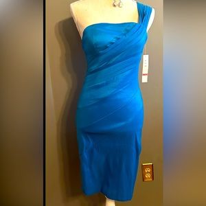 NWT! Snap brand size small cocktail dress